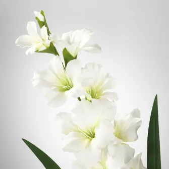 IKEA SMYCKA Floare artificiala, gladiola/alb, 100 cm