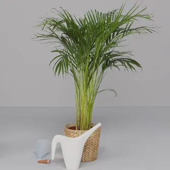 IKEA SVÄMSKOG Accesoriu auto-irigare, teracota/transparent, 70 cl