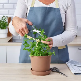 IKEA SVÄRDFISK Set 2 foarfece, inox gri/gri-turcoaz