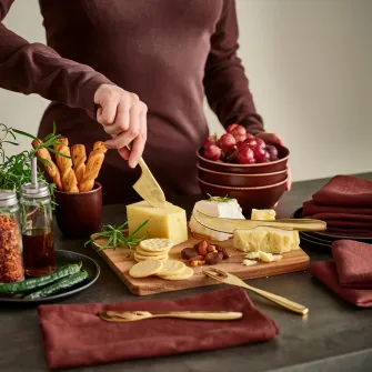 IKEA TILLAGD Set cutite branzeturi, 4 piese, alama