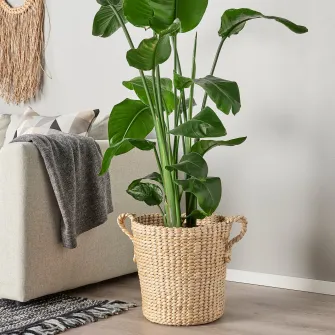 IKEA TÖRNBÄR Ghiveci, fibra bananier lucrat manual, 32 cm