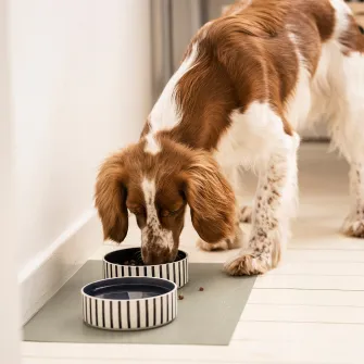 IKEA UTSÅDD Bol pentru animale de companie, dungat negru-albastru/albastru inchis, 15 cm