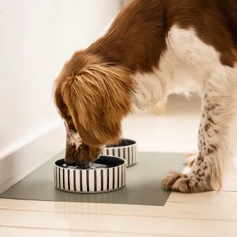 IKEA UTSÅDD Bol pentru animale de companie, dungat negru-albastru/albastru inchis, 15 cm