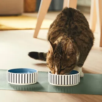 IKEA UTSÅDD Bol pentru animale de companie, dungat negru-albastru/gri-albastru, 11 cm
