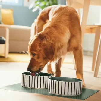 IKEA UTSÅDD Bol pentru animale de companie, dungat negru-albastru/gri-verde, 19 cm
