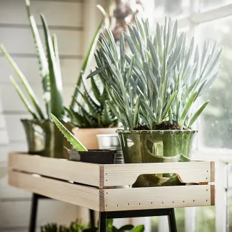 IKEA VANILJSTÅNG Suport plante, pin/negru, 67 cm