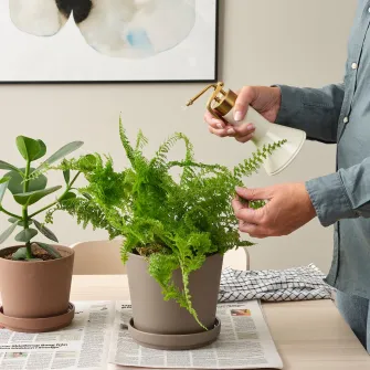 IKEA VATTENKRASSE Pulverizator plante, ivoriu/auriu, 35 cl