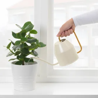 IKEA VATTENKRASSE Stropitoare, ivoriu/auriu, 0.9 l