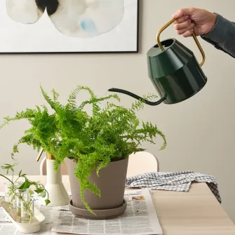 IKEA VATTENKRASSE Stropitoare, negru-verde/auriu, 2.0 l