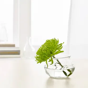 IKEA VILJESTARK Vaza, sticla transparenta, 8 cm