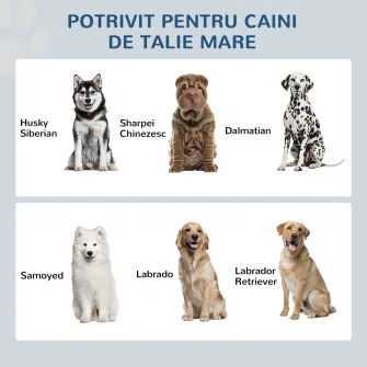 Boluri Ridicate pentru Caini din Otel Inoxidabil si Lemn cu Sertar, 60x30x36 cm, Maro