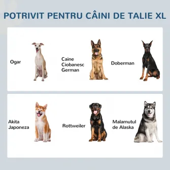 Boluri inaltate pentru Caini Mari, Suport din MDF cu 2 Boluri din Otel Inoxidabil, 60x30x41 cm, Alb