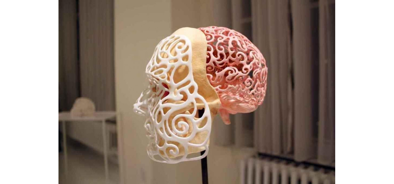 Instalatii de arta imprimata 3D: fuziunea tehnologiei si creativitatii.