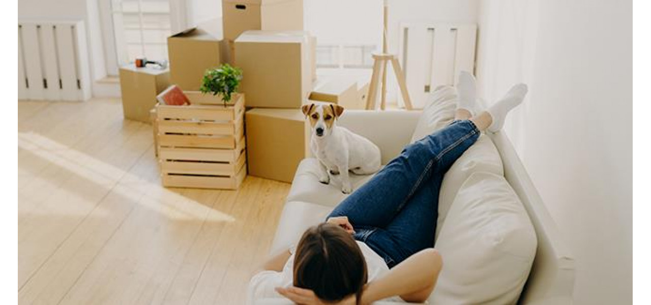 Exista restrictii privind utilizarea sezlongurilor pentru animalele de companie?