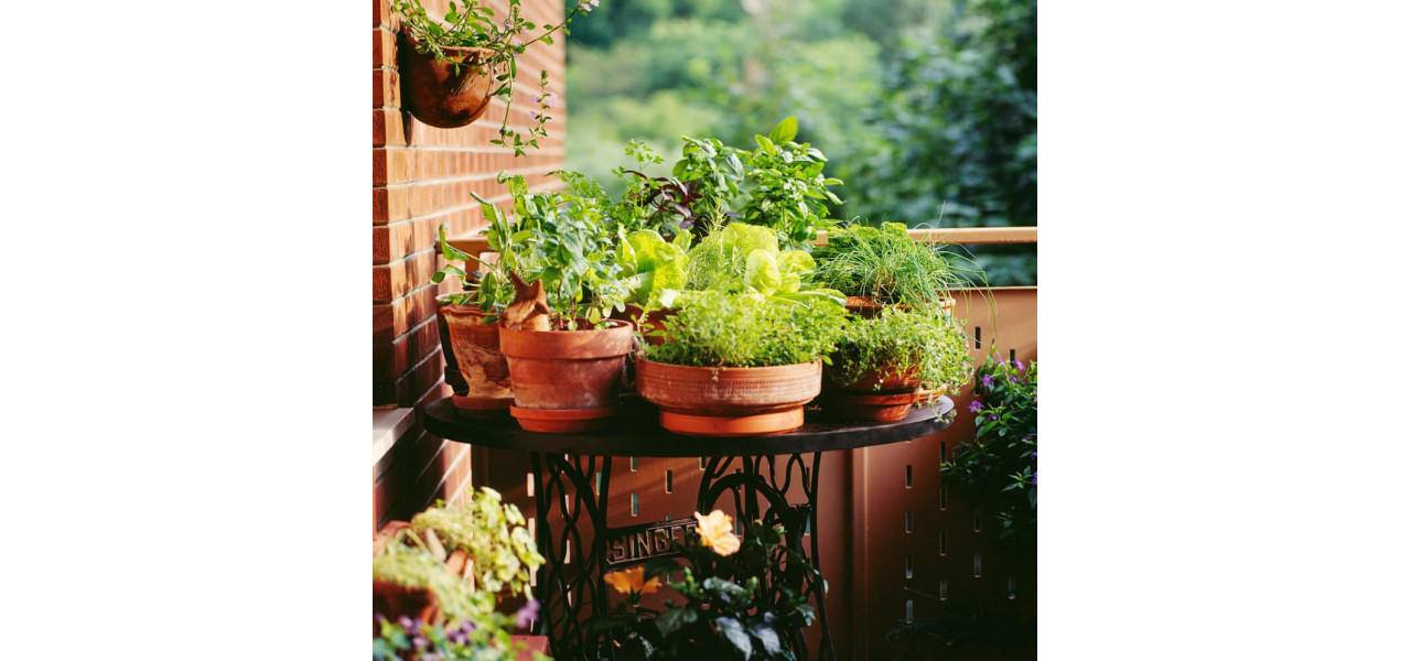 Mese concepute pentru a expune plante sau flori in ghivece pe un balcon.