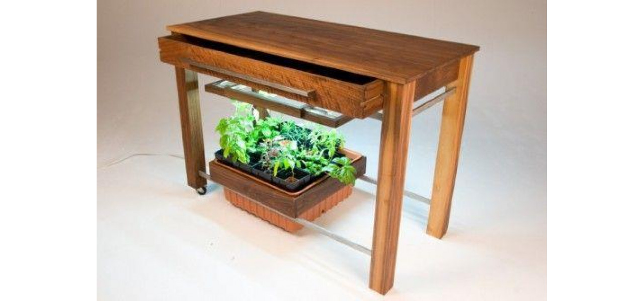 Explorarea tendintei: Mese de bucatarie cu gradini de plante medicinale incorporate sau configuratii hidroponice.