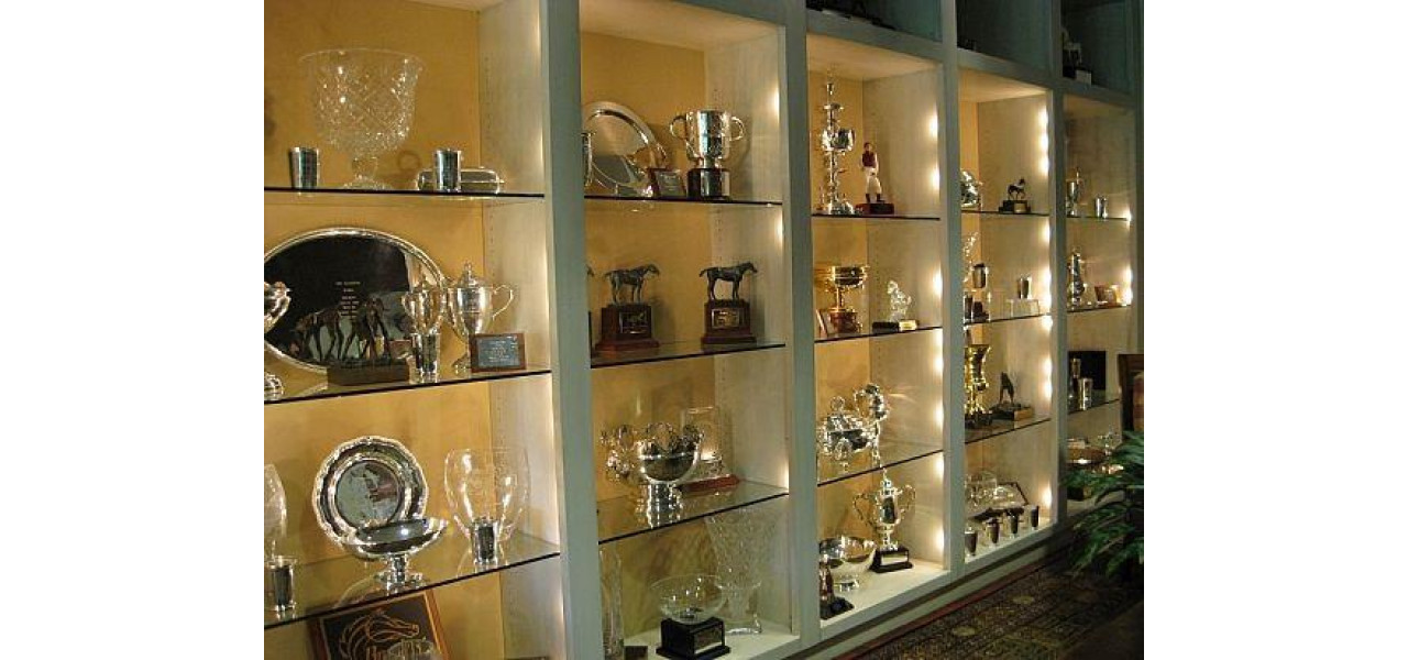 Poate fi folosit un dulap din lemn ca vitrina pentru trofee sau premii?