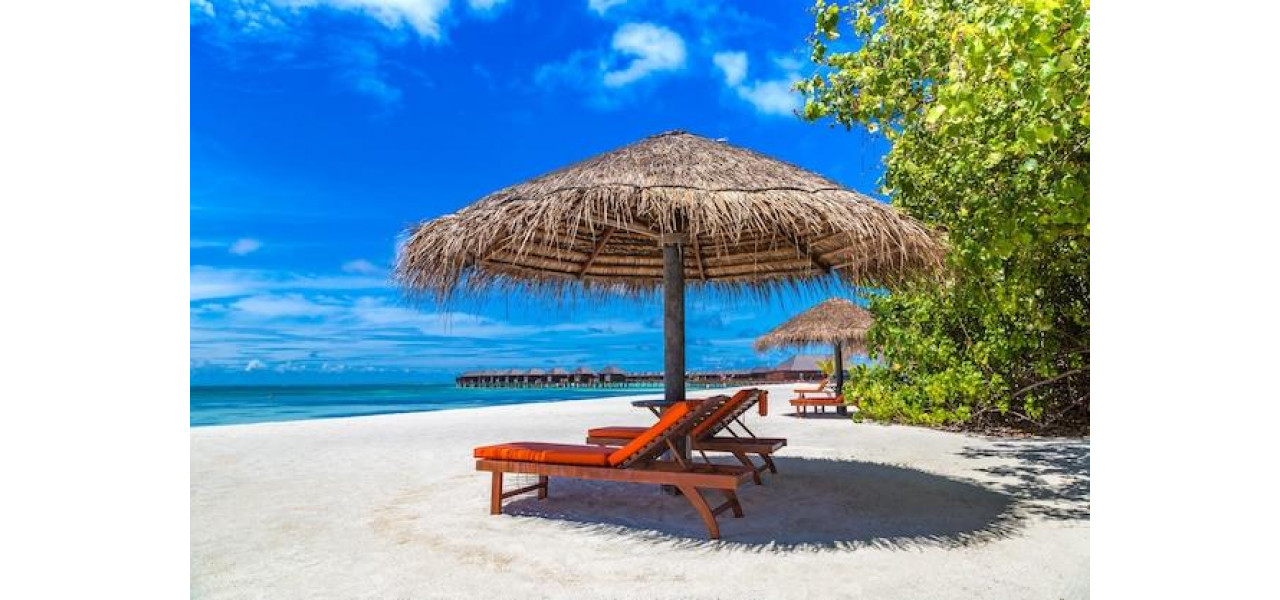 Alegerea sezlongului potrivit pentru spatiul dvs. in aer liber cu tematica tropicala.