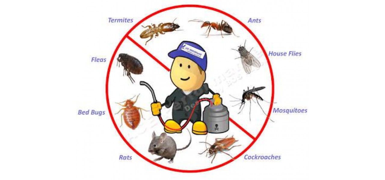 Cum sa preveniti daunatorii sau insectele sa se infiltreze intr-o comoda din sufragerie.