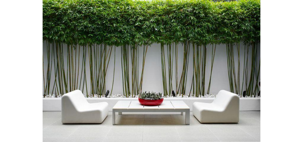 Forme de masa pentru un design modern minimalist de gradina.