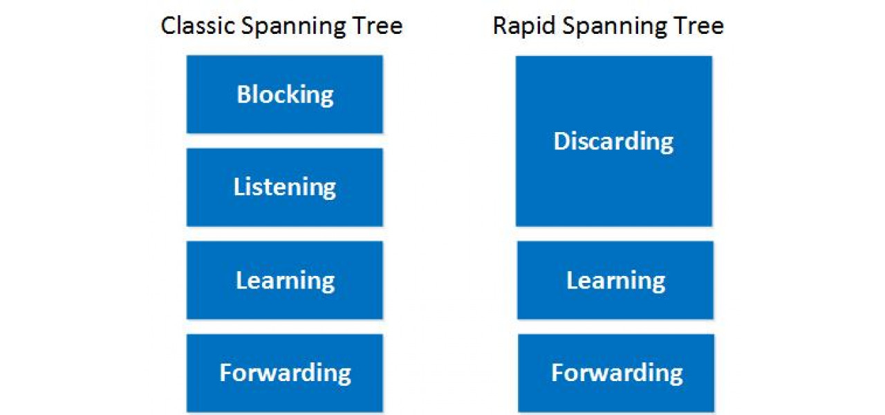O scufundare profunda in protocoalele de comutare: Spanning Tree vs Rapid Spanning Tree.