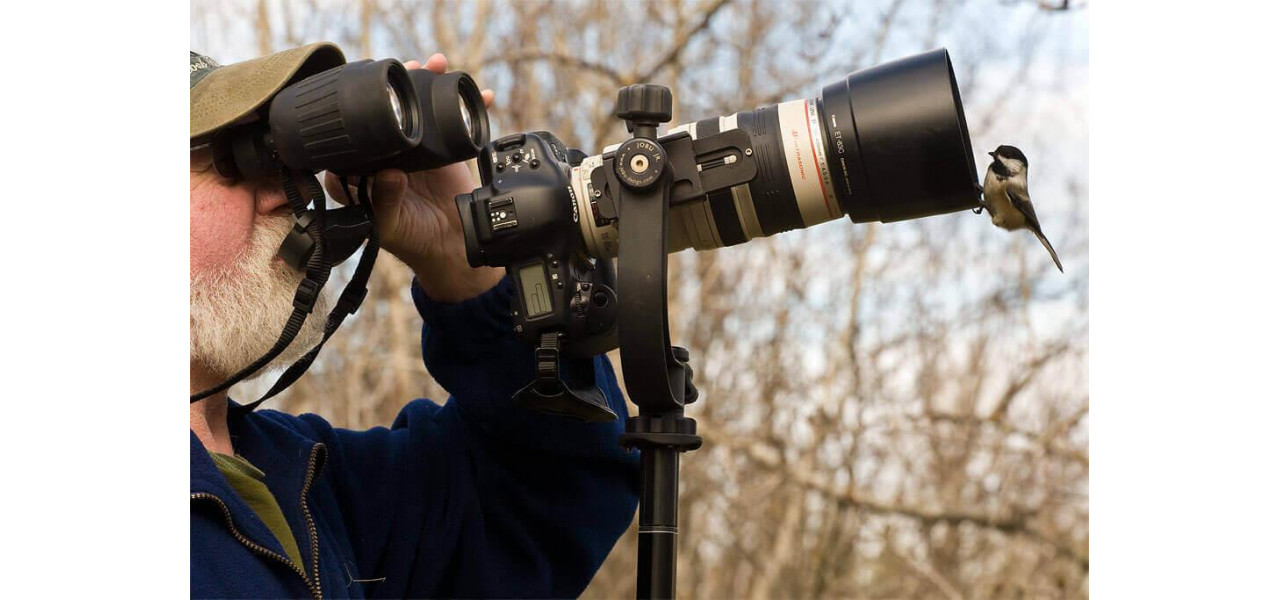 Camere de actiune pentru fotografierea vietii salbatice: capturarea animalelor in habitatul lor natural.
