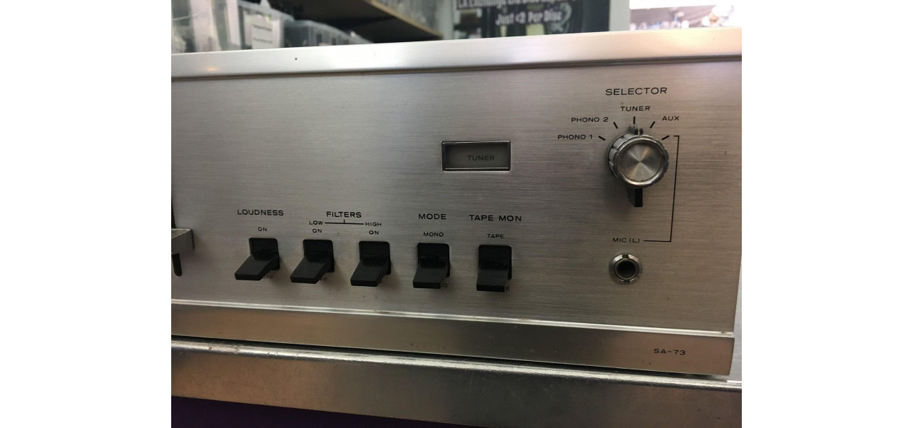 Amplificarea in aer liber: amplificatoare stereo pentru parcuri nationale.