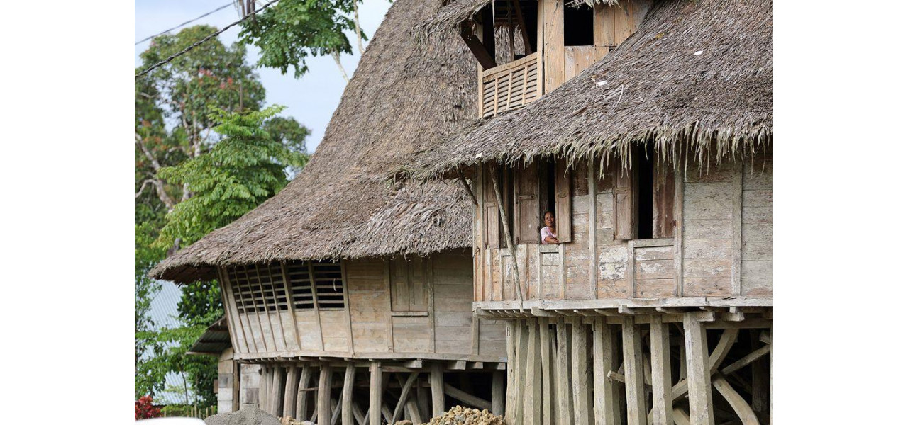 Conservarea patrimoniului cultural: importanta caselor traditionale Huse si Genti.