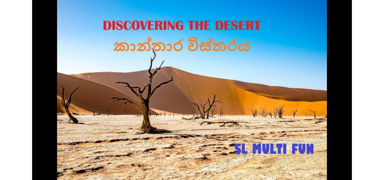 Descoperirea desertului: binoclu pentru expeditii in desert.