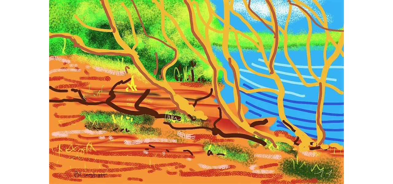 Inspirati-va din natura Crearea de peisaje realiste cu tablete grafice.