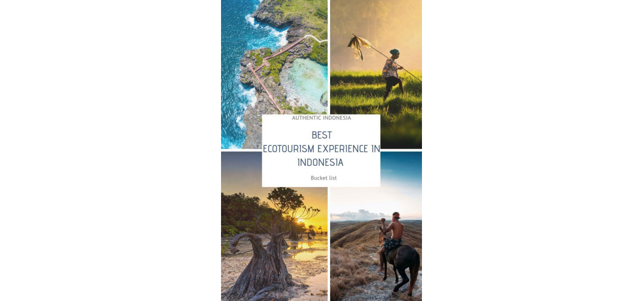 Ecrane in turismul durabil: imbunatatirea experientelor in ecoturism.