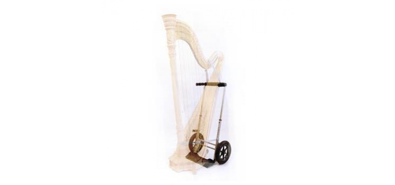 Accesorii esentiale pentru jucatorii de harpa.