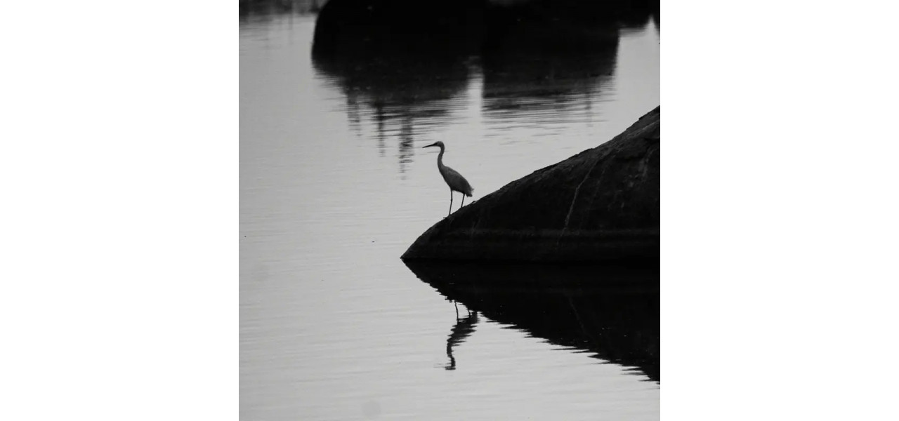 Explorand fotografia minimalista, imbratisand simplitatea.