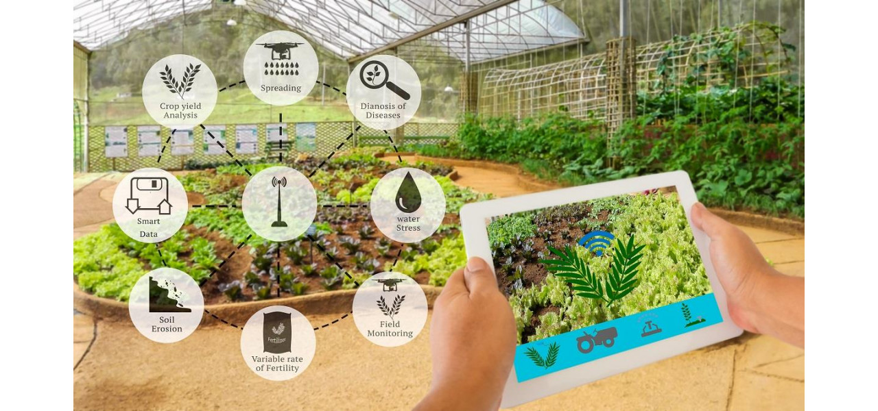Impactul Casti Wireless Huawei asupra agriculturii inteligente si a productivitatii agricole.