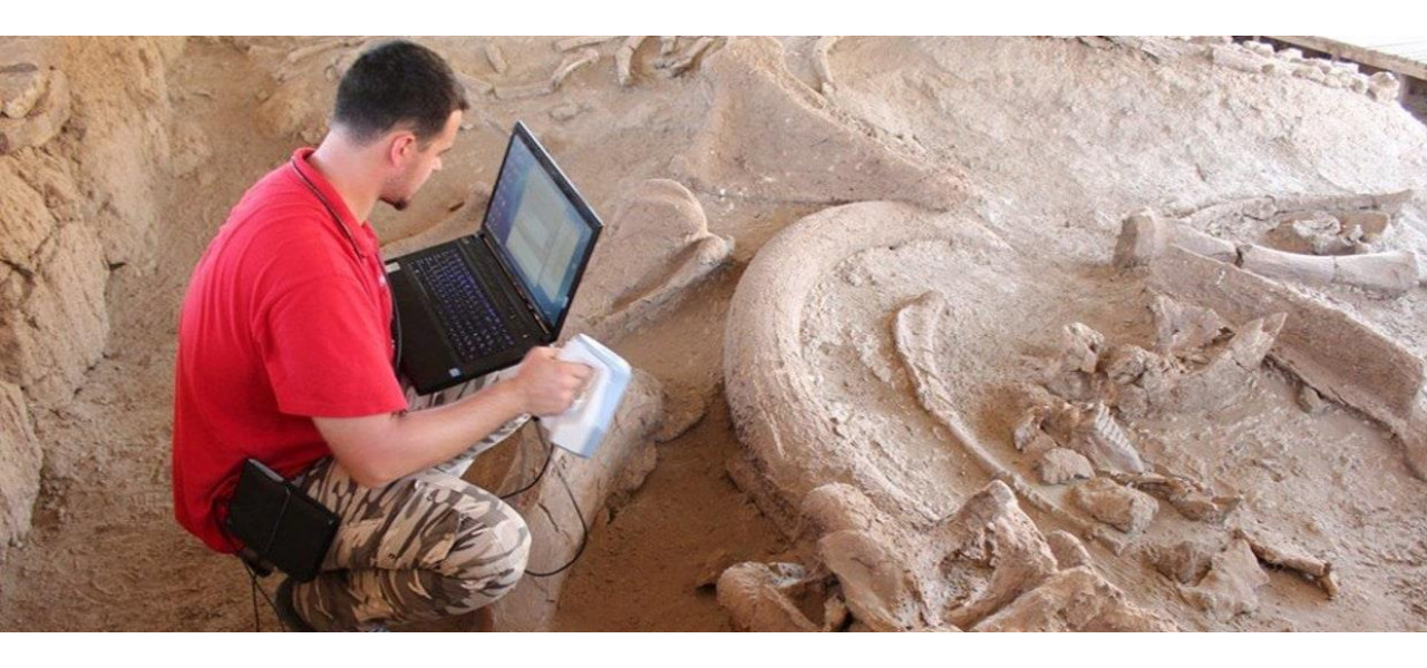 Explorarea rolului scanerelor in cercetarea istorica si arheologica.