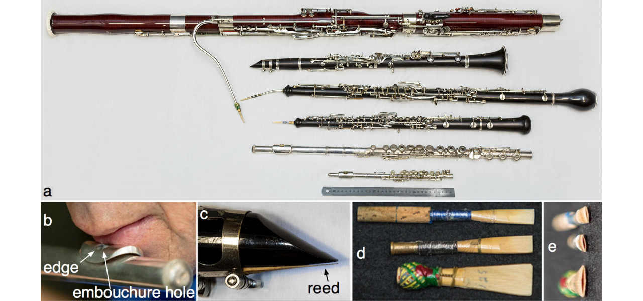 Explorand lumea instrumentelor de suflat din lemn.
