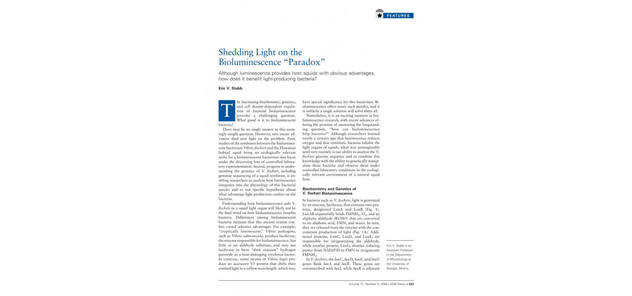 Gasirea alinare in lumina: beneficiile terapeutice ale luminiscentei.