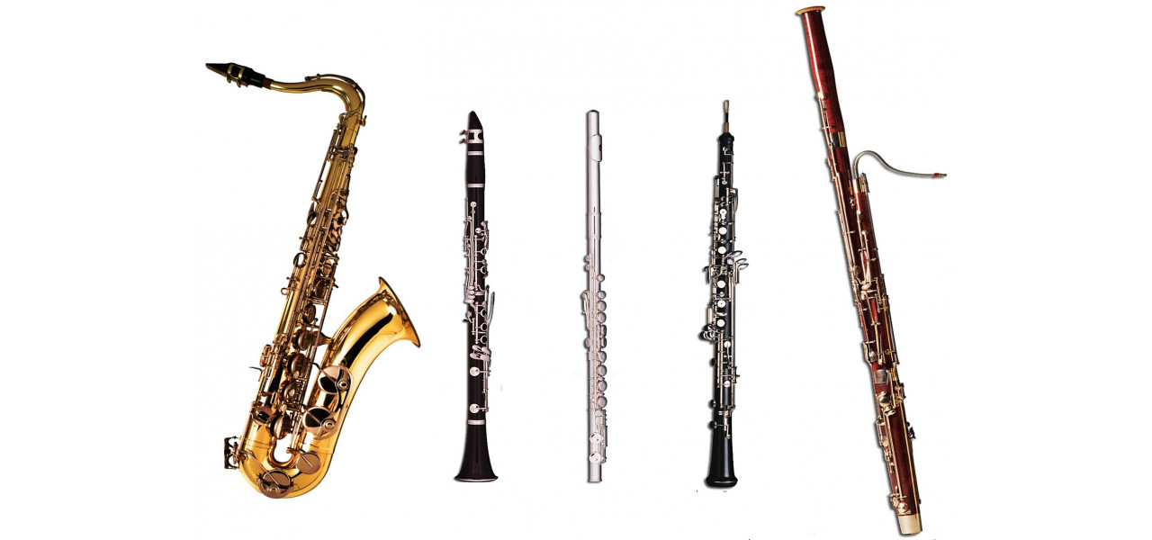 De la Flaut la Saxofoane: Versatilitatea instrumentelor de suflat.