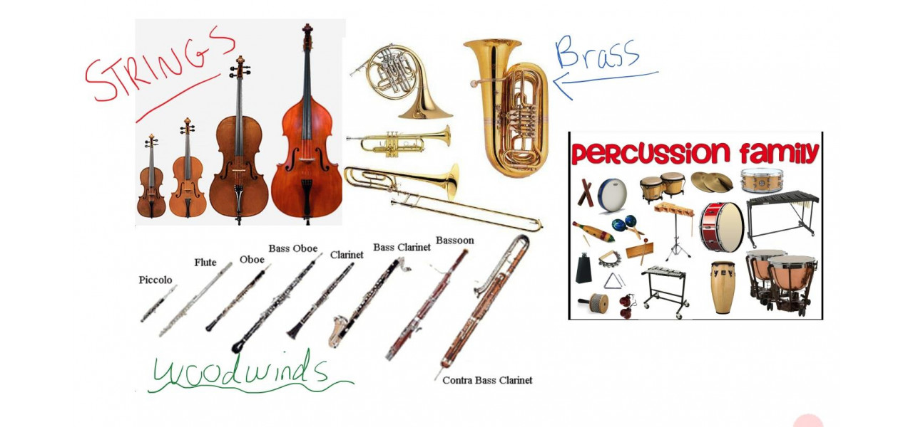 De la trupe de garaj la orchestre: rolul instrumentelor in diferite genuri muzicale.