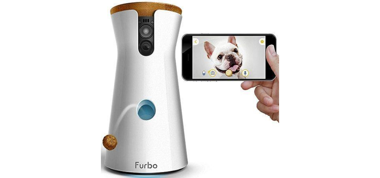 Gadget-uri pentru iubitorii de animale: tehnologie pentru tovarasii nostri blaniti.