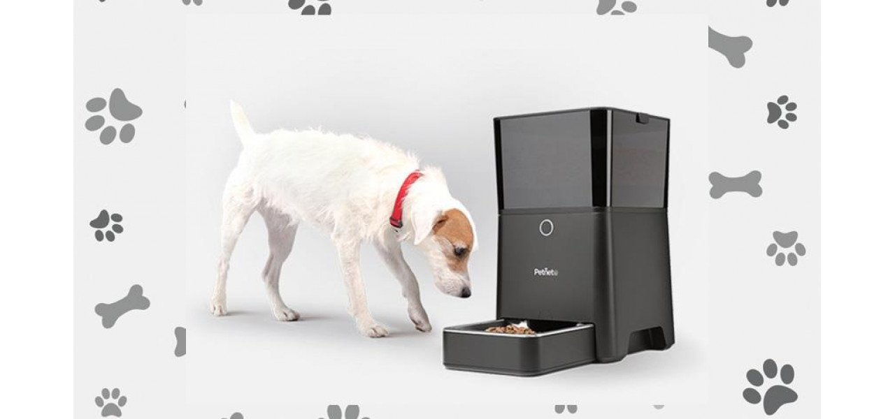 Gadget-uri pentru proprietarii de animale de companie: inovatii pentru sanatate, siguranta si distractie.