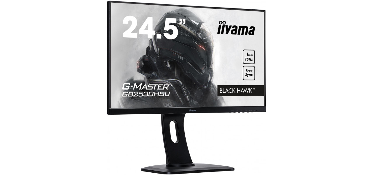 Monitoarele IIYAMA ridica experienta de joc la noi culmi.