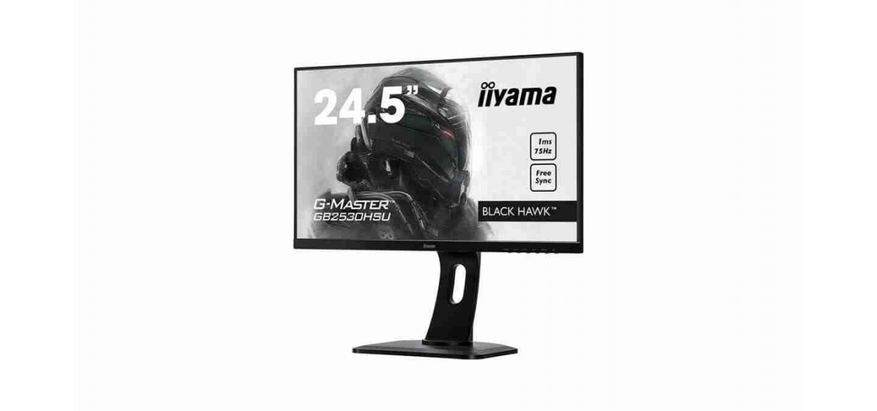 Monitoarele IIYAMA experimenteaza jocurile ca niciodata.