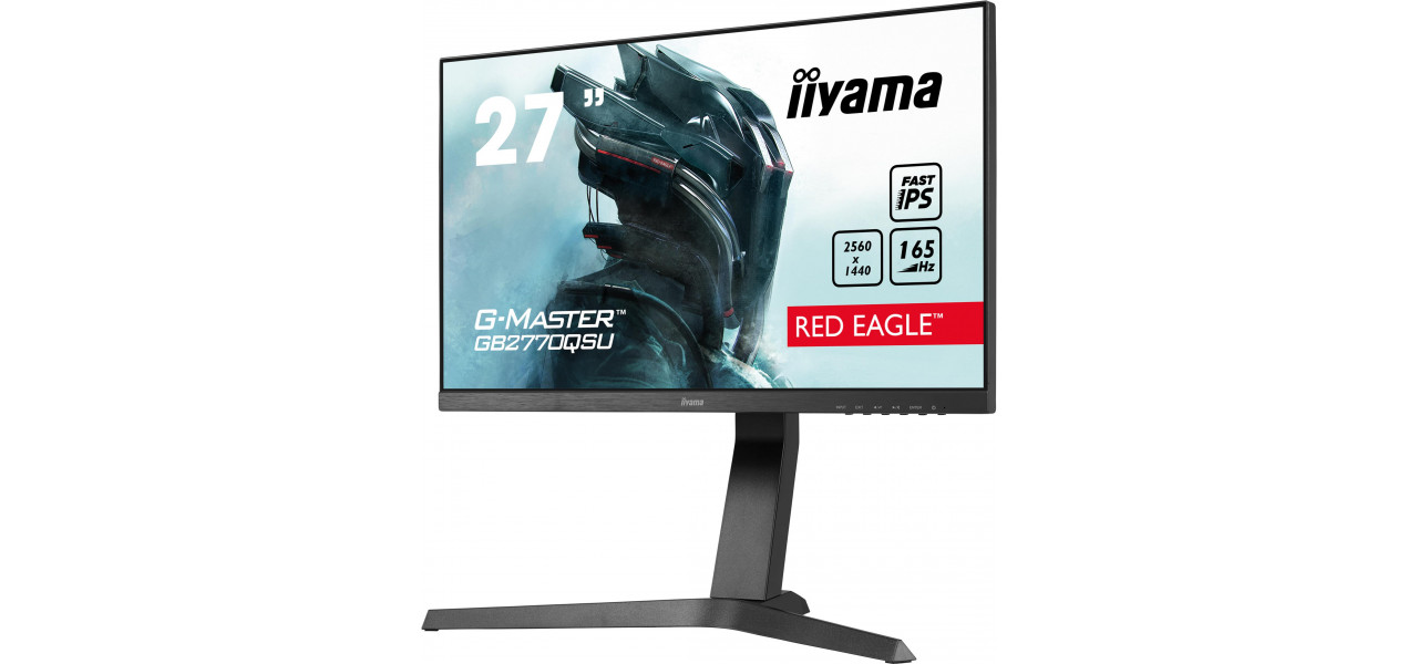 Monitoarele IIYAMA va elibereaza potentialul de joc.
