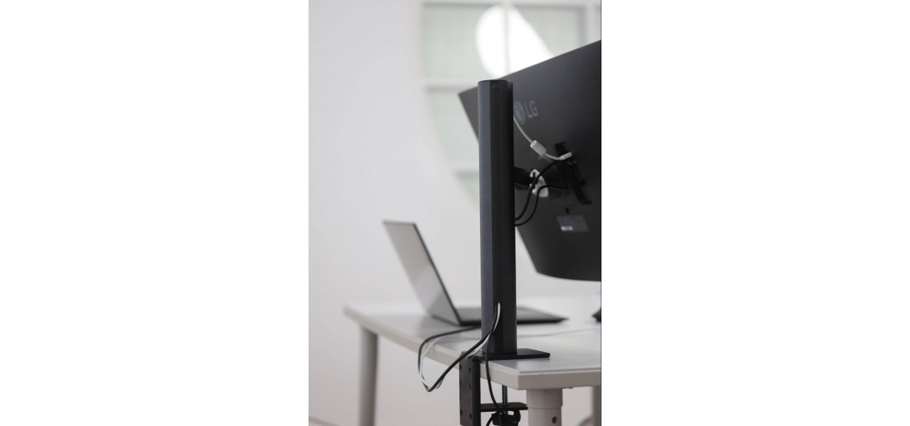 Monitoare LG: Ce le face sa iasa in evidenta.