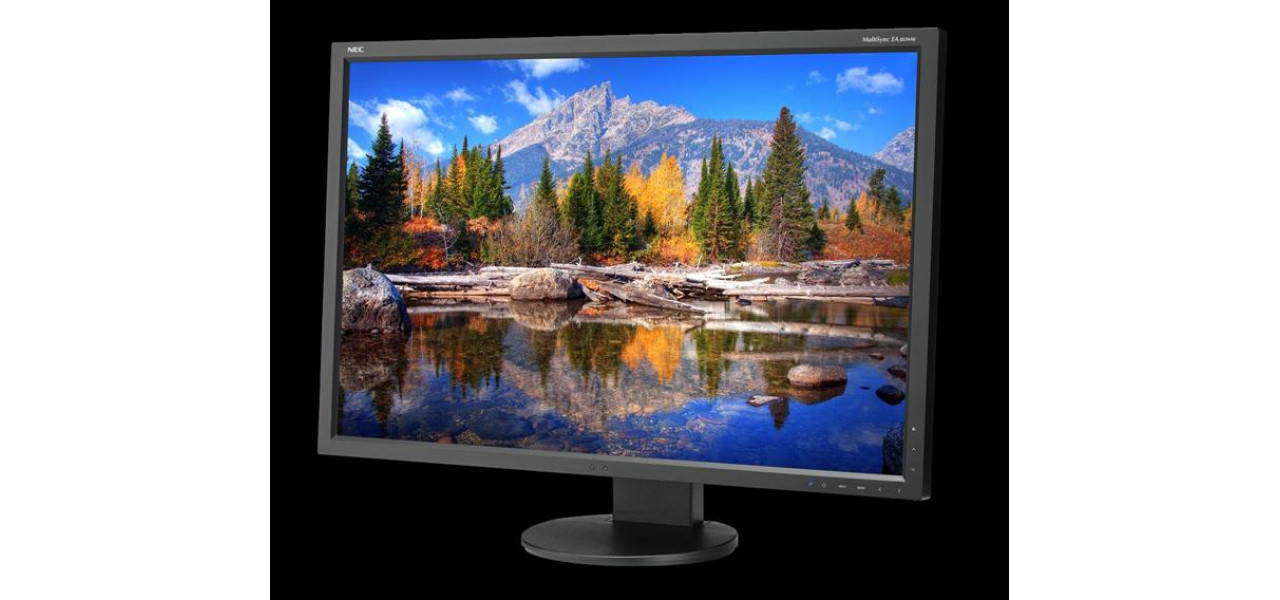 Monitoare Nec vs Monitoare NEC: Understanding the Differences.