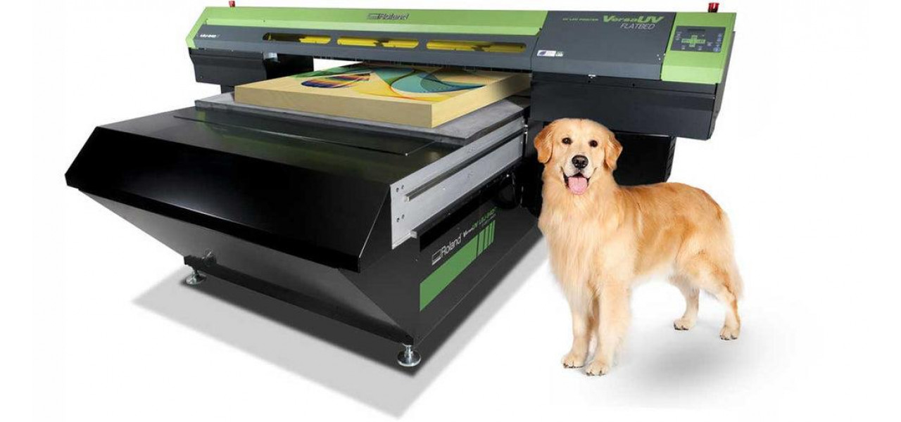 Imprimante multifunctionale: un instrument de incredere pentru intreprinderile de servicii pentru animale de companie.