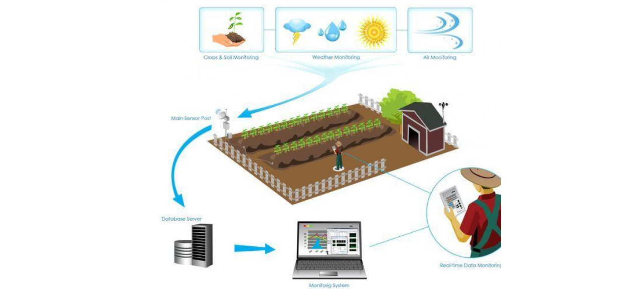 Stocare atasata la retea in industria agriculturii: monitorizati datele culturilor.
