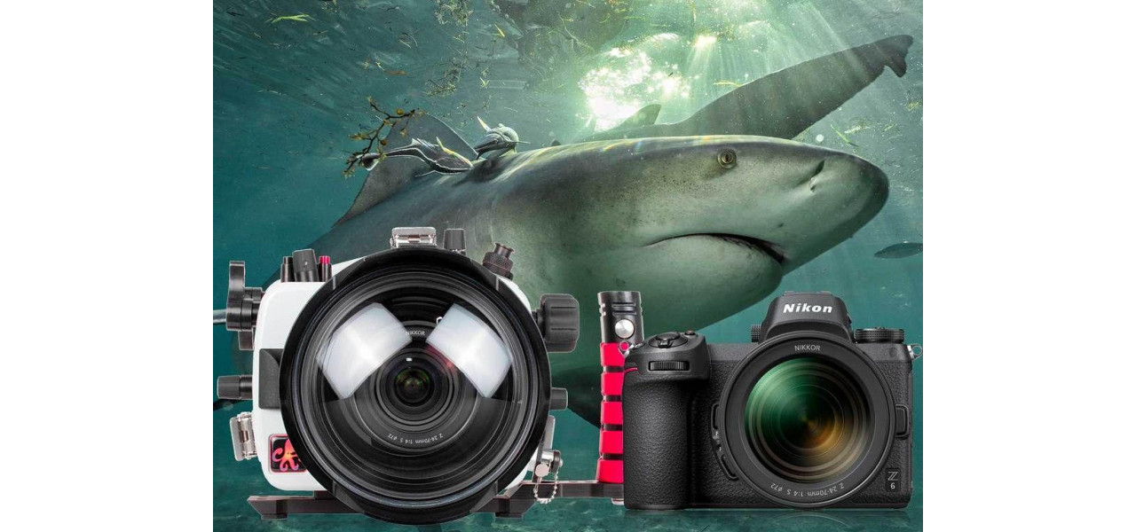 Aparatele foto NIKON si fotografia subacvatica Explorand adancurile.