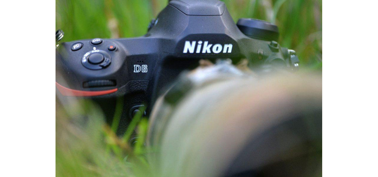 Camerele foto NIKON si sustinerea conservarii faunei salbatice prin imagini.